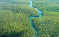 Amazon çayında son 20 ilin ən pis quraqlığı müşahidə edilib
