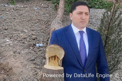 İdarə rəisi Qafar Ağayev agackəsiminə hansı şərtlərlə razılaşır?