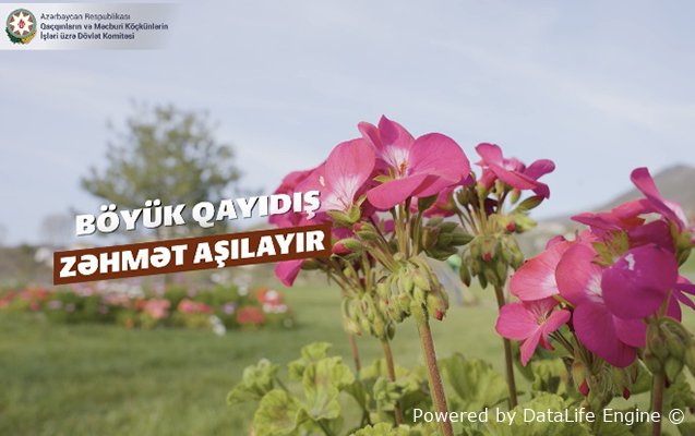 Böyük Qayıdış zəhmət aşılayır - Video