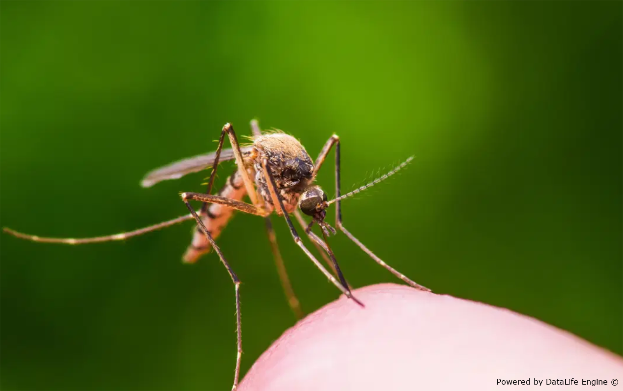 İlk dəfə insanda aşkarlanan virus ölümə səbəb oldu